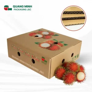 Hộp đựng thanh long, sầu riêng, chôm chôm